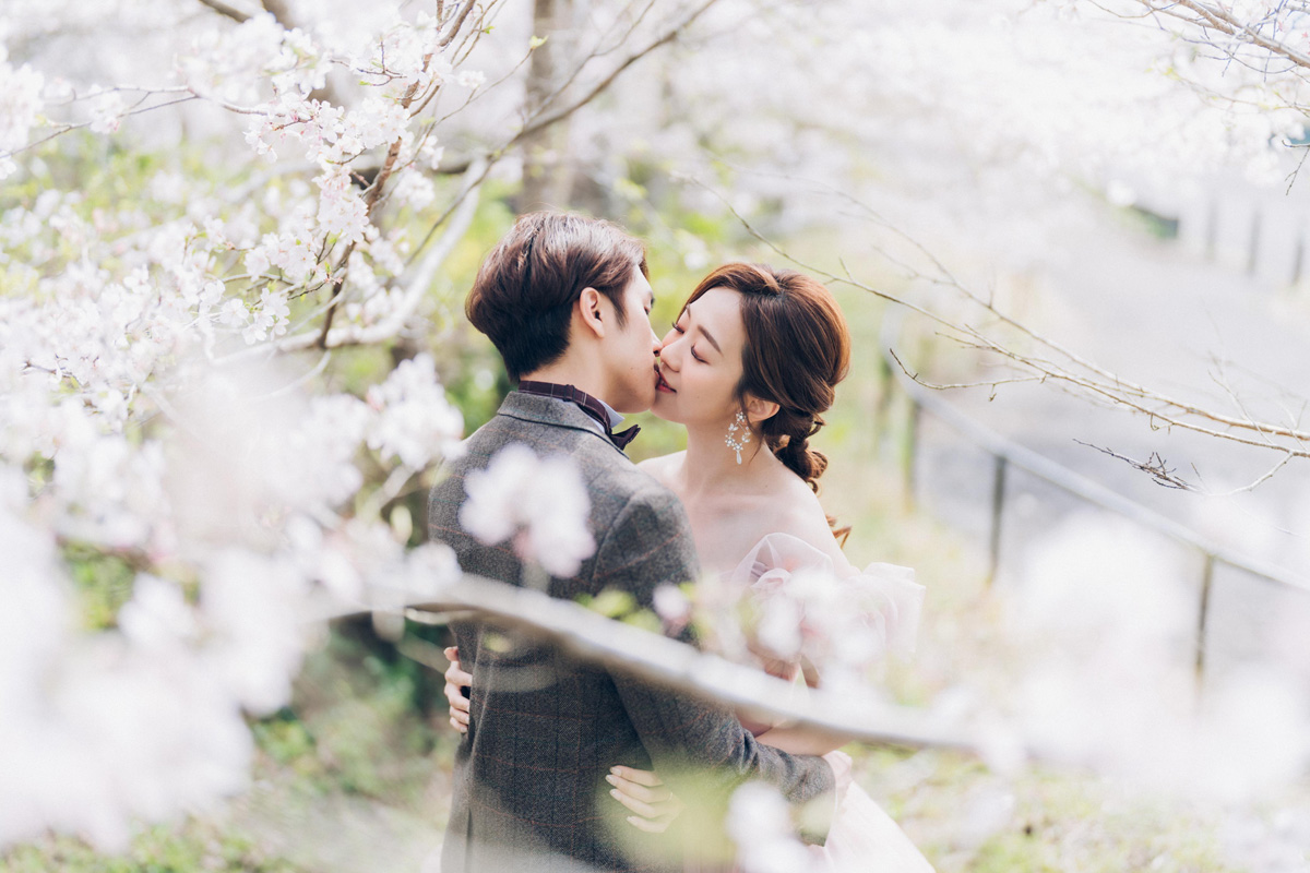 dw_web003