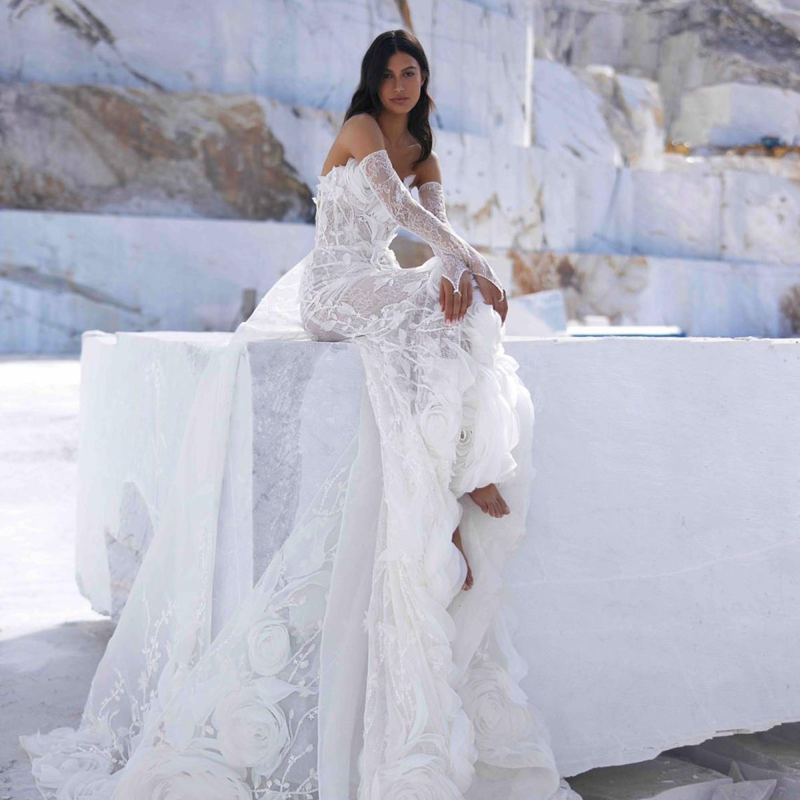 belle_202602