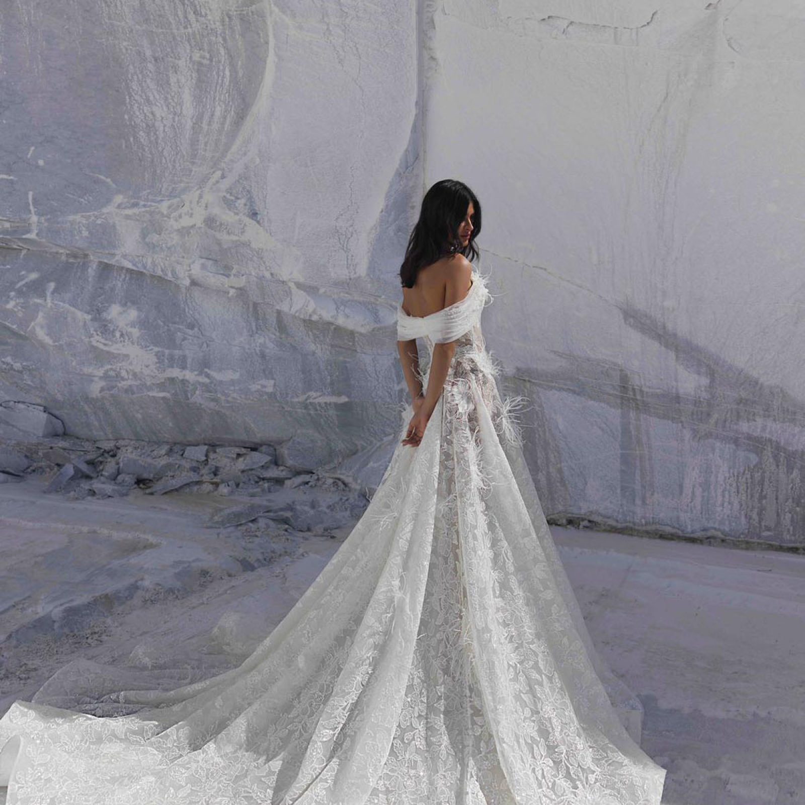 belle_202603