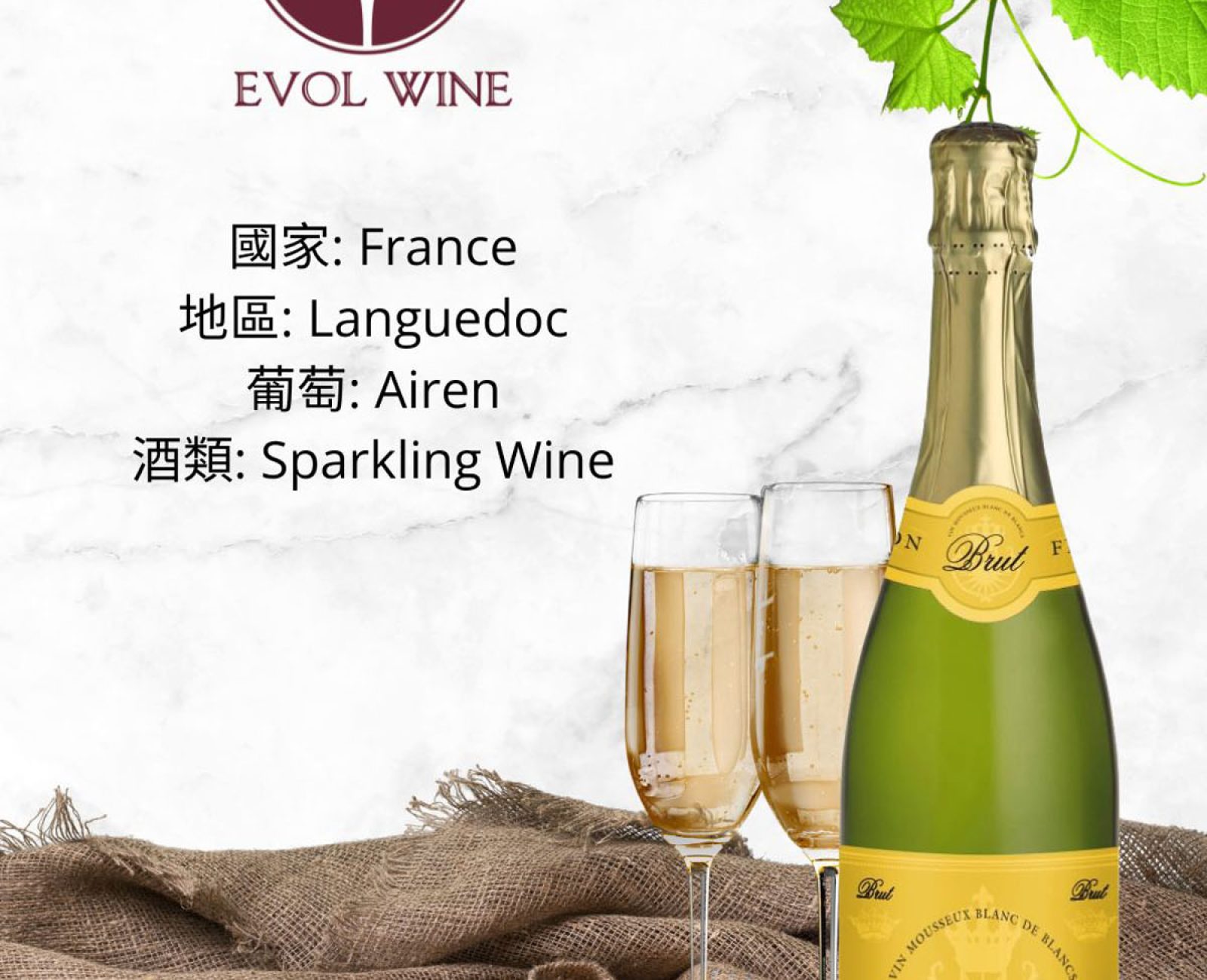 evolwine_202604
