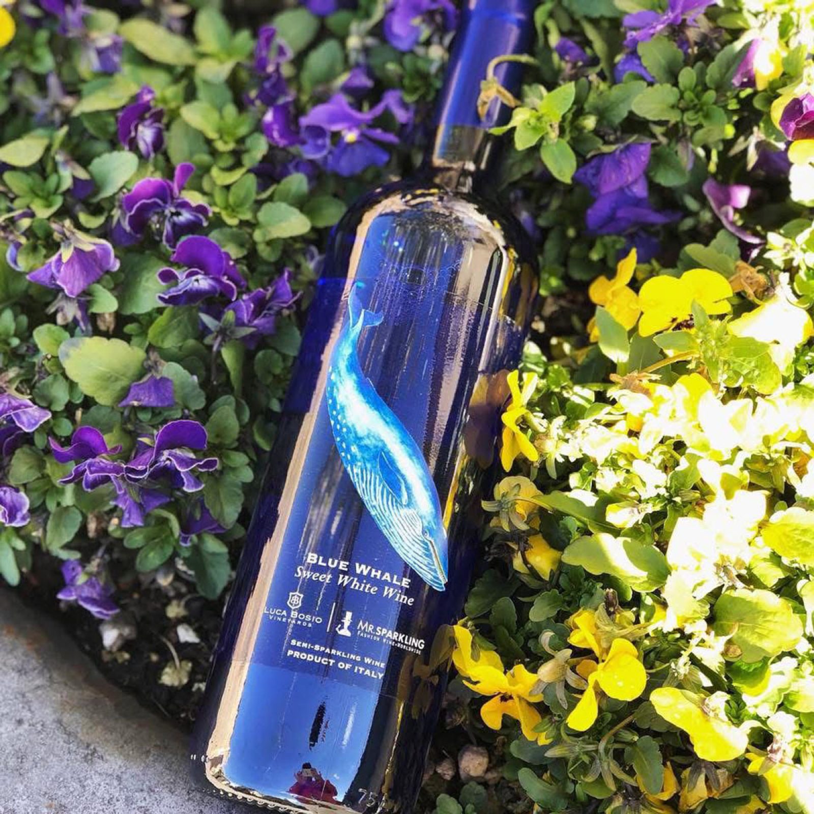 kpwine_202603