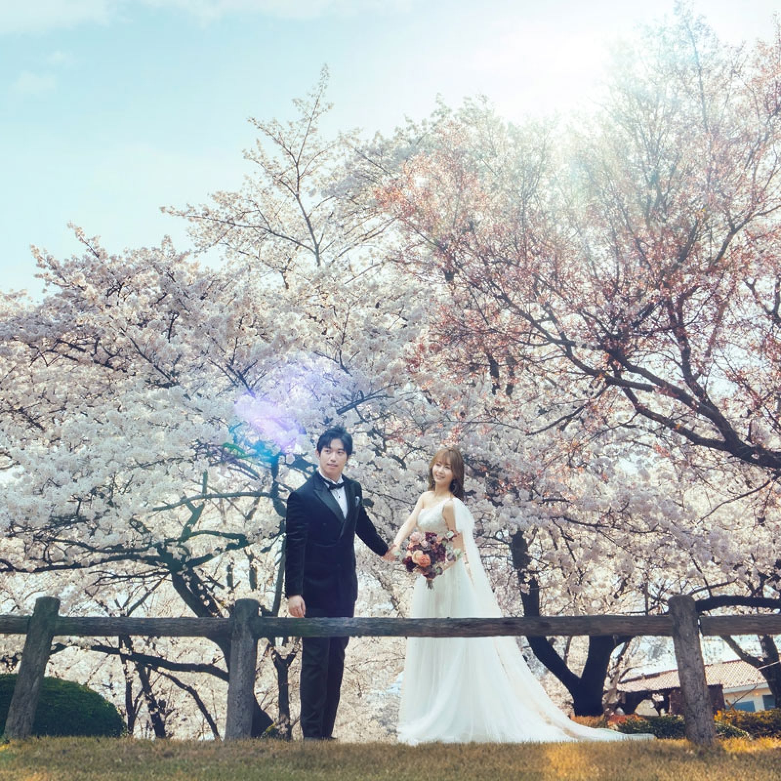 lumoon_202602