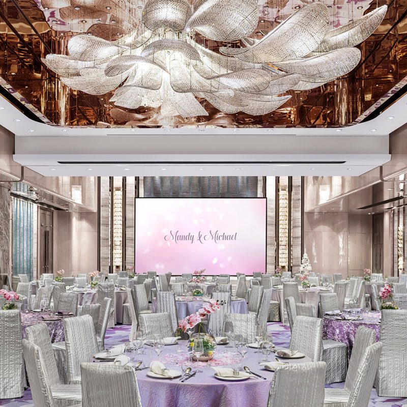 royalplaza_2026800