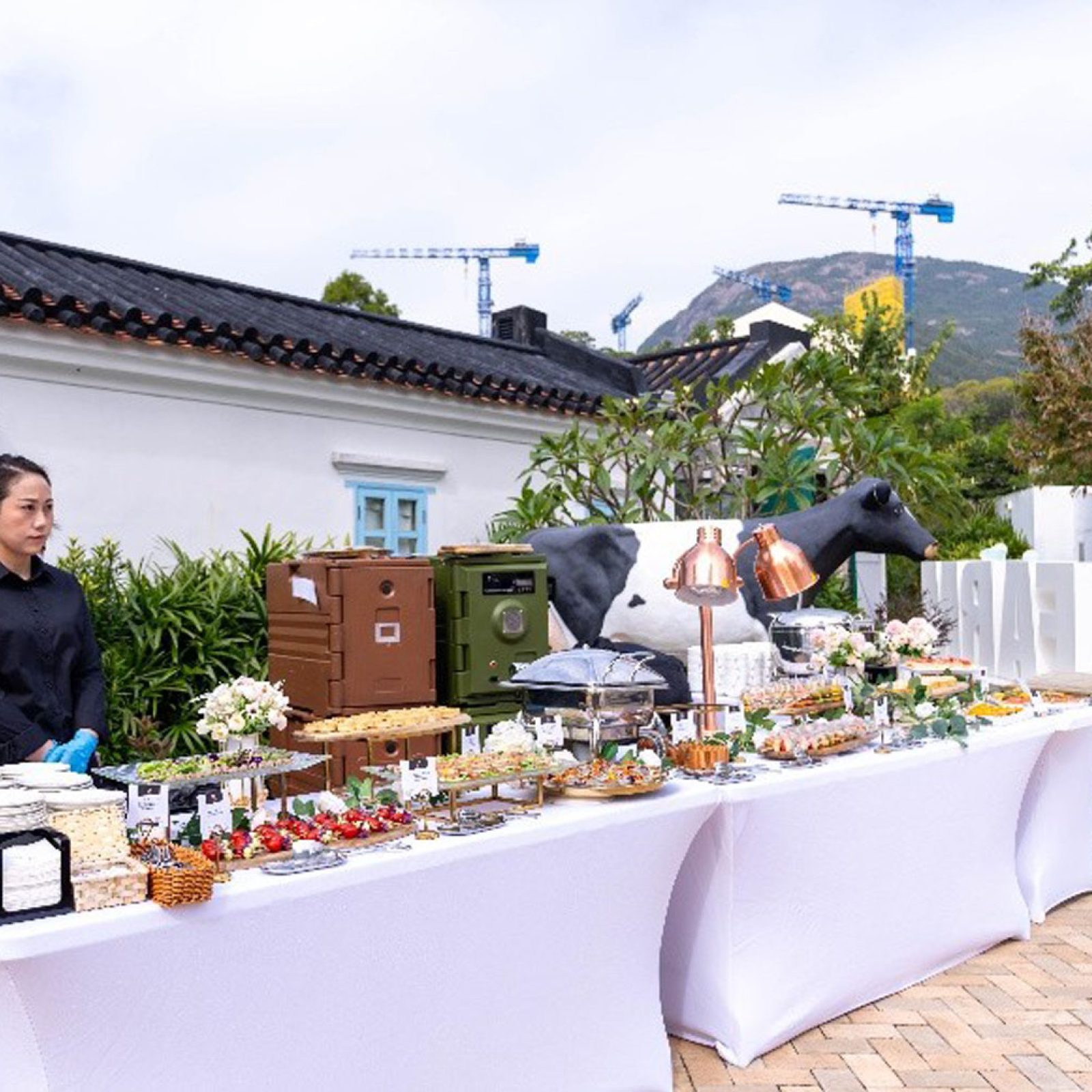 weddingmaster_202606_04